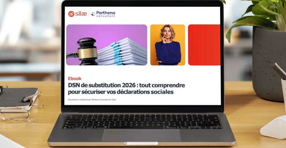 Ebook DSN de substitution